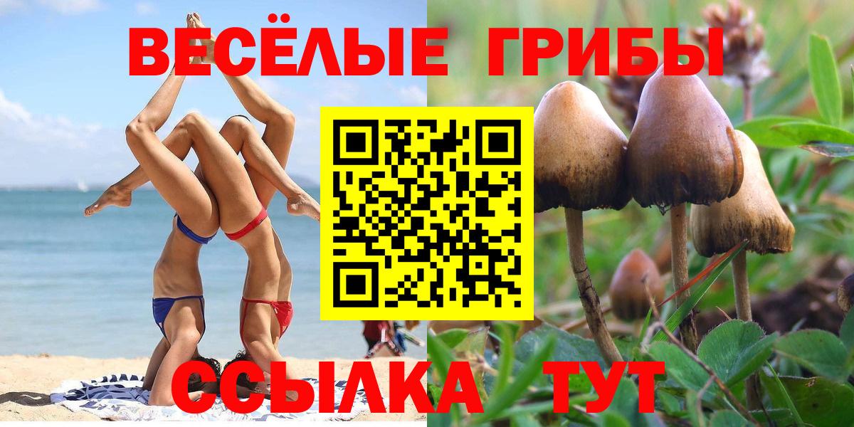 Волгодонск  Галлюциногенные грибы Psilocybe  Вход с VPN 