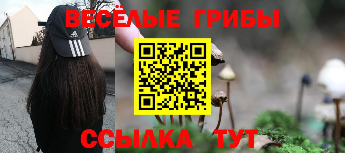 Псилоцибиновые грибы Magic Shrooms Волгодонск